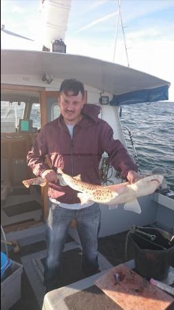 13 lb 2 oz Bull Huss by Unknown