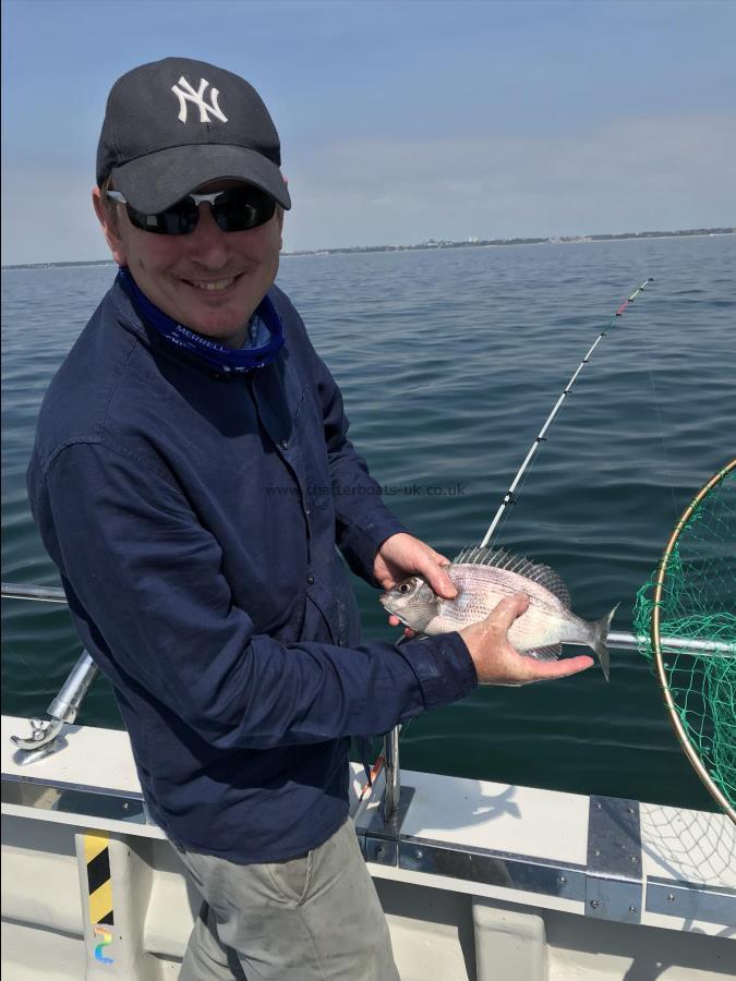 1 lb Black Sea Bream by James R