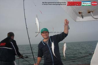 1 lb Whiting by Chris