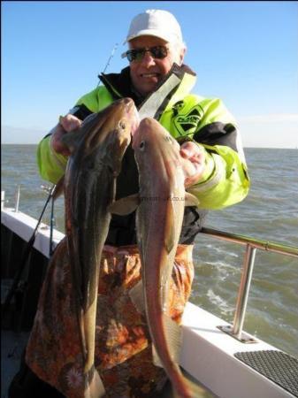 8 lb 7 oz Cod by Unknown