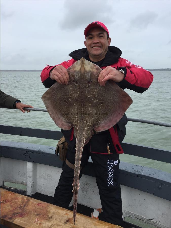 12 lb 8 oz Thornback Ray by Unknown