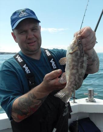 2 lb Ballan Wrasse by Bruce Hough