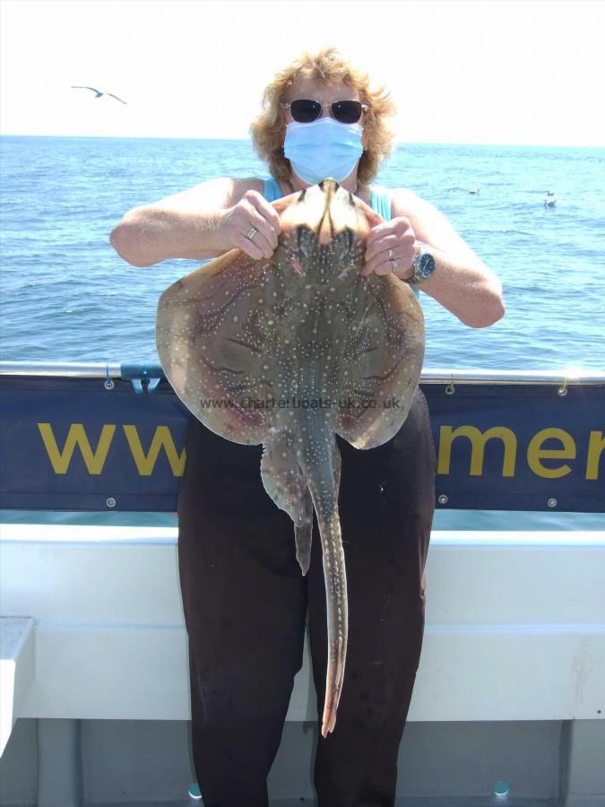 9 lb Undulate Ray by Denise Youngs