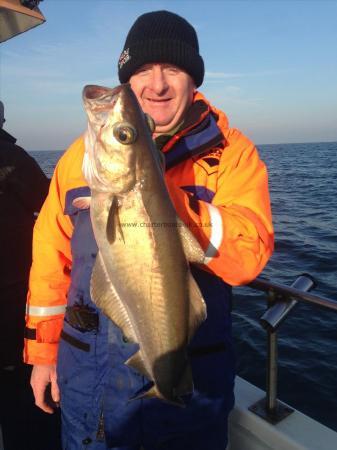 9 lb 12 oz Pollock by dougie