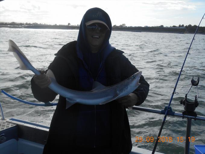 5 lb Starry Smooth-hound by Maria