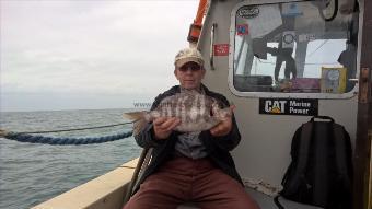 3 lb Black Sea Bream by Stephen Wake