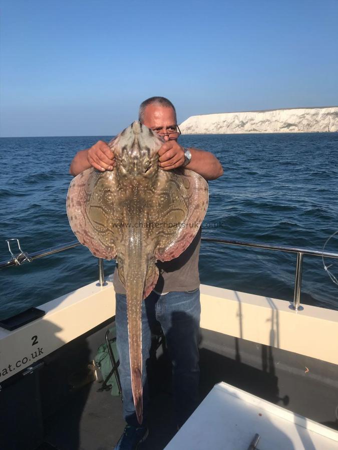 18 lb 1 oz Undulate Ray by Unknown