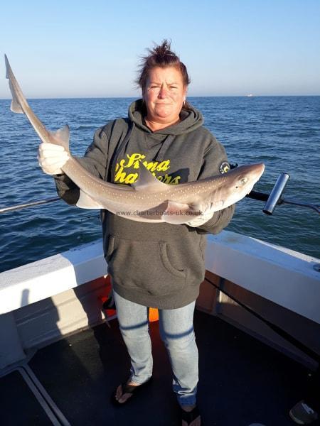 9 lb Smooth-hound (Common) by Dawn Parrott