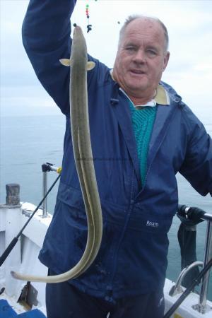 2 lb European Eel by Paul