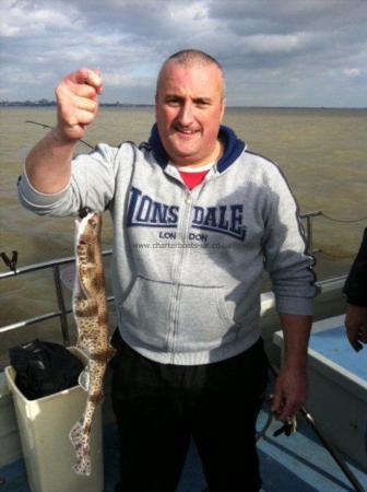 2 lb 1 oz Lesser Spotted Dogfish by Unknown