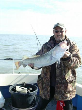 10 lb Cod by Unknown