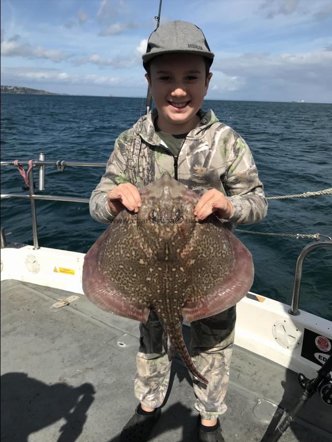6 lb Thornback Ray by Toby