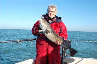 13 lb Cod by Unknown