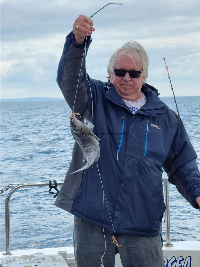 3 lb 2 oz Black Sea Bream by Andrew