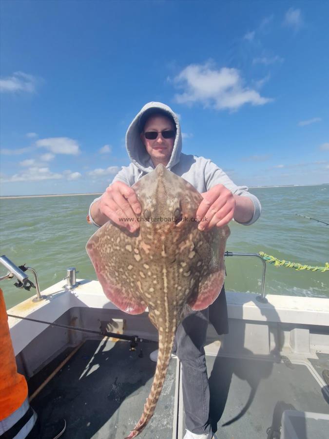 7 lb Thornback Ray by Tim