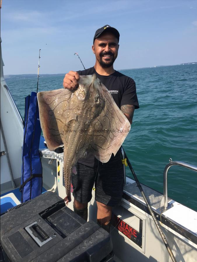 14 lb Undulate Ray by Jay with another ray