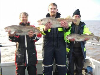 13 lb 2 oz Cod by Unknown