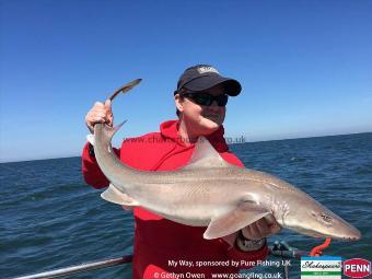 20 lb Starry Smooth-hound by Mike Thrussell jnr