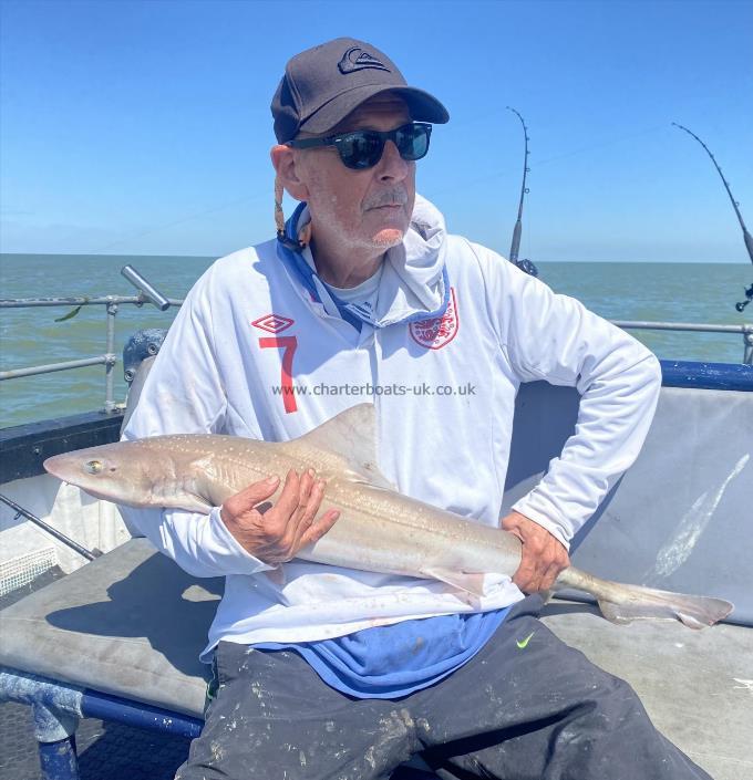 9 lb Smooth-hound by Unknown