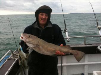 10 lb Cod by Unknown