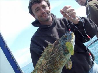 3 lb Ballan Wrasse by happy customer