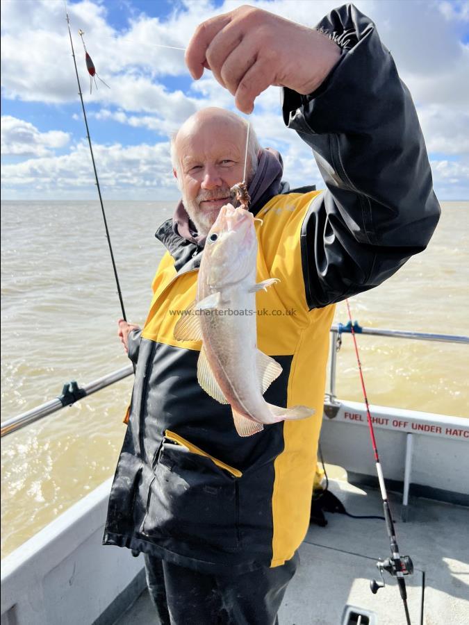 4 lb Cod by Unknown