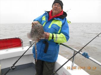 3 lb Thornback Ray by Adrian Preston