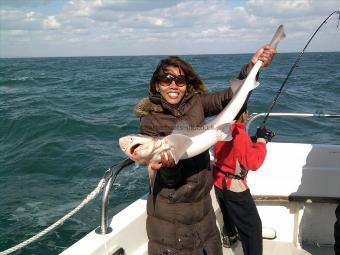 6 lb 10 oz Starry Smooth-hound by Koy Watts