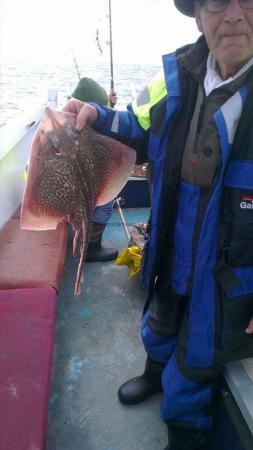 4 lb 3 oz Thornback Ray by Kev