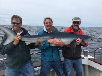 100 lb Blue Shark by Steve