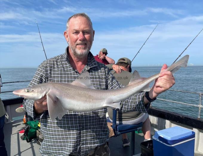 7 lb Smooth-hound by Unknown