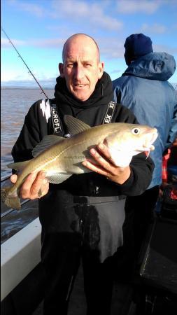 5 lb 8 oz Cod by Dave