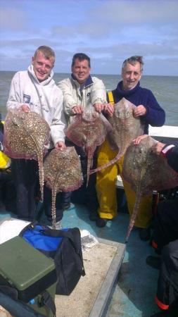10 lb Thornback Ray by Dave