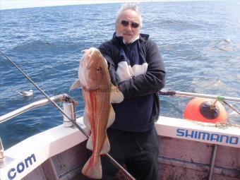 12 lb Cod by Dave from Southport.