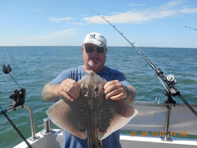 5 lb Thornback Ray by Dave Jones