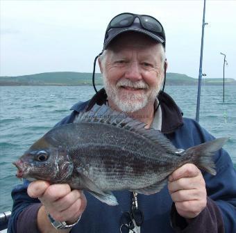 2 lb 12 oz Black Sea Bream by Trevoir Pegg