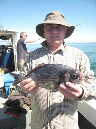 2 lb 12 oz Black Sea Bream by Pete Davis