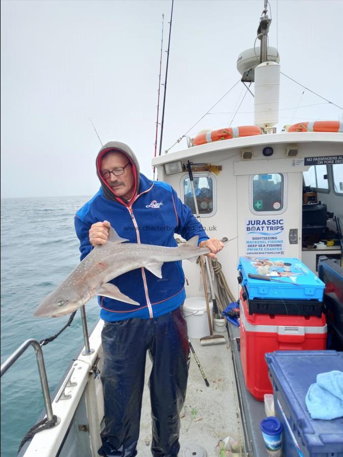 13 lb 4 oz Starry Smooth-hound by Brian