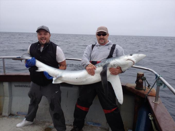 100 lb Blue Shark by Craig (at the less toothy end ! )