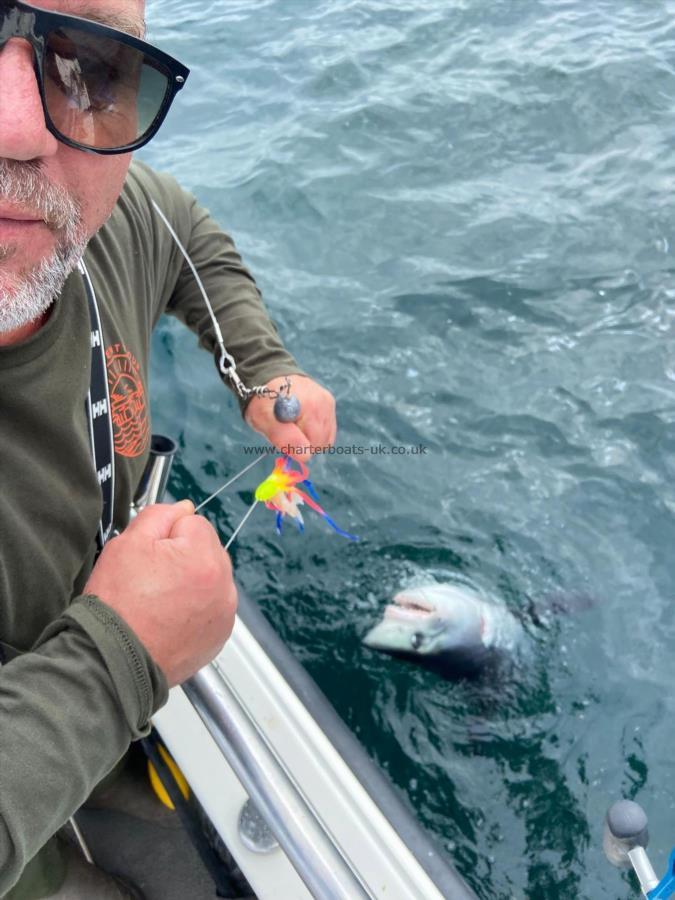 90 lb Porbeagle by Lawrence Leask