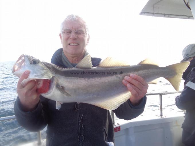 8 lb Pollock by David