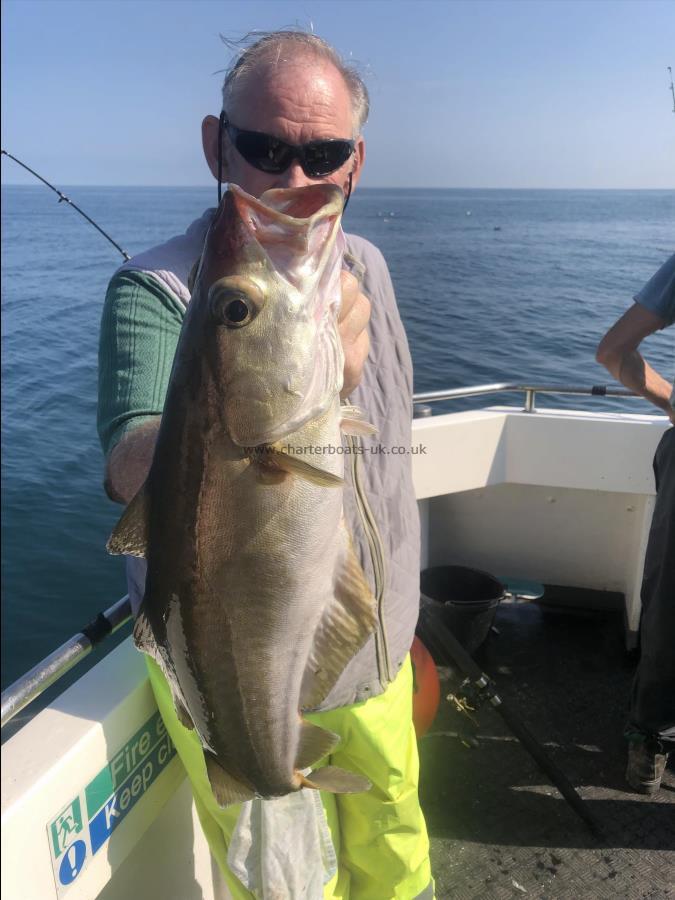 8 lb 5 oz Pollock by Unknown