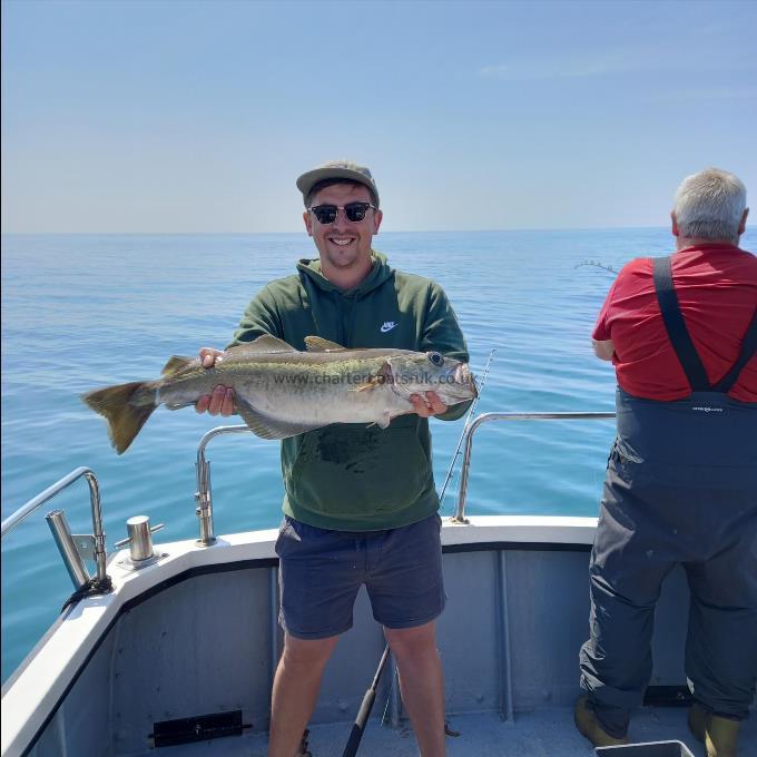 8 lb Pollock by Tom