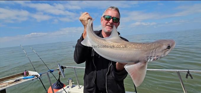 8 lb Smooth-hound by Rupert