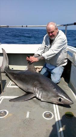 200 lb Porbeagle by Andy Truelove