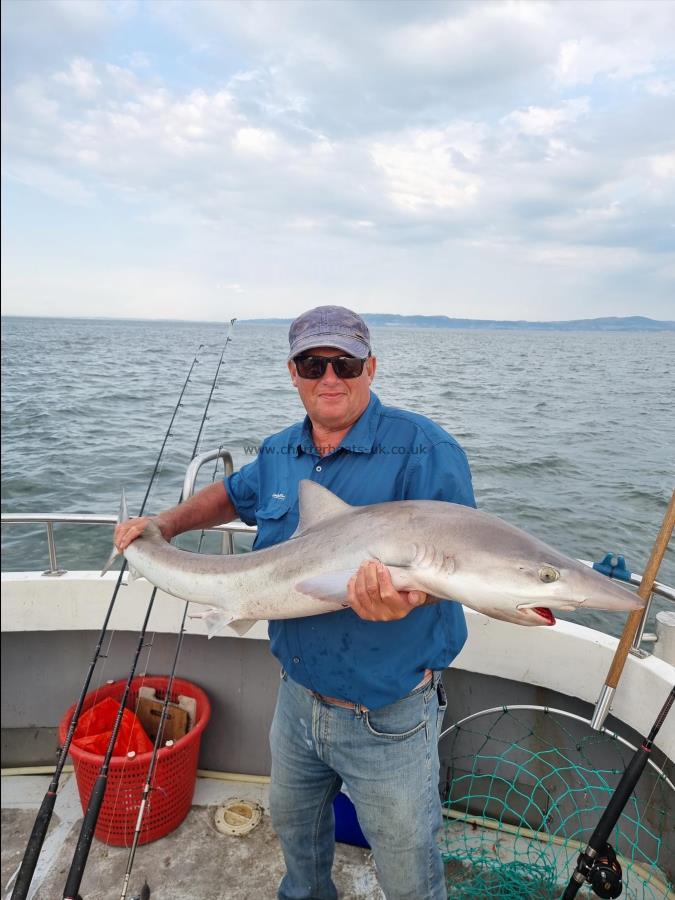 30 lb Tope by Robert Lee