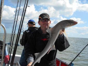 6 lb Starry Smooth-hound by Will Duncan