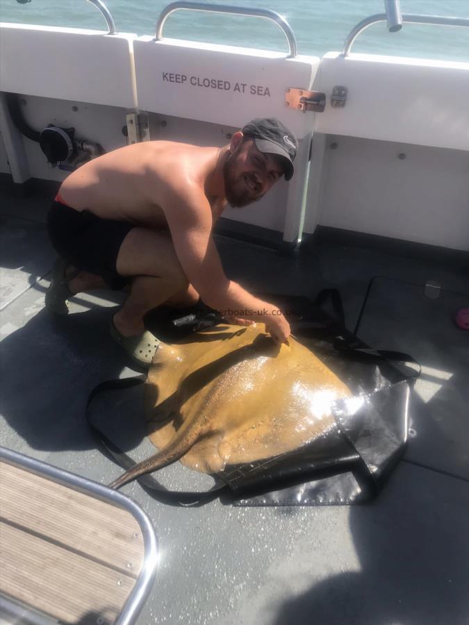 52 lb 8 oz Stingray (Common) by Unknown