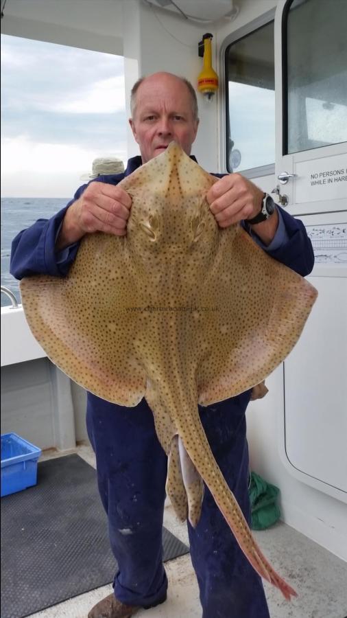 17 lb Blonde Ray by Unknown