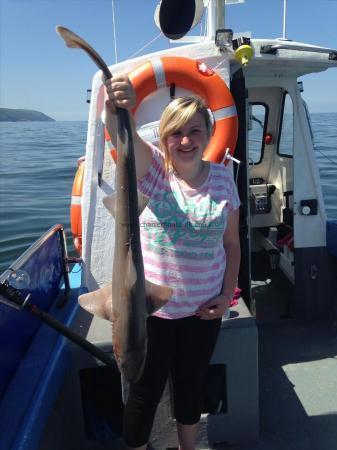 12 lb Starry Smooth-hound by Unknown